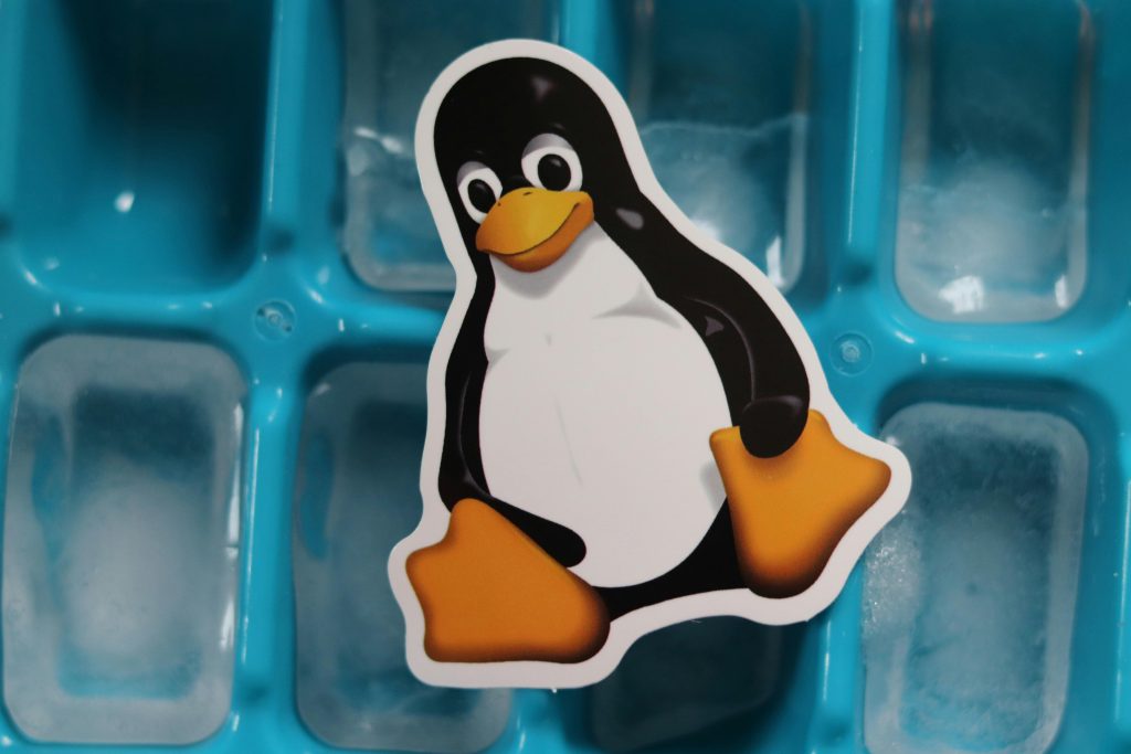 Comparativo entre as Principais Distribuições Linux para Servidores: Qual a Ideal para o Seu Projeto?
