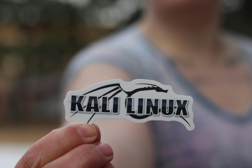 Comparativo entre as Principais Distribuições Linux para Servidores: Qual a Ideal para o Seu Projeto?