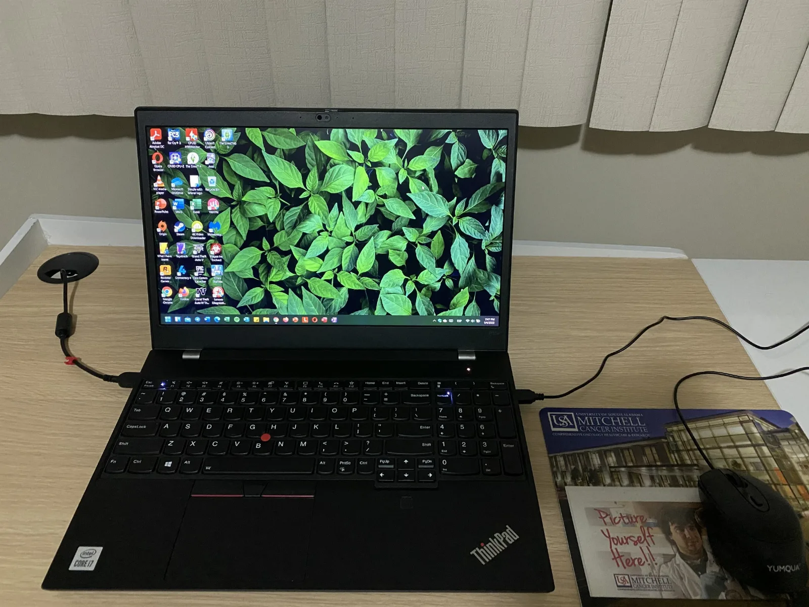 Notebook Lenovo ThinkPad aberto sobre a mesa, com a área de trabalho do Windows 11 e papel de parede de folhas verdes